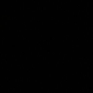 Meet your Posher, Walter